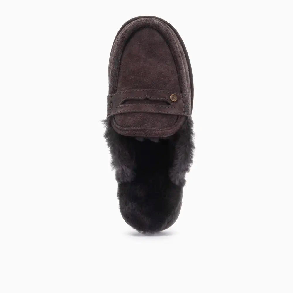 Cowell Herren Suède Choco 2