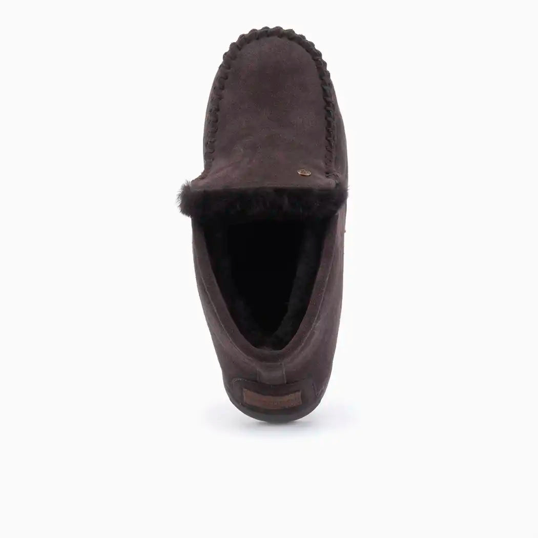 Darwino suède choco 2