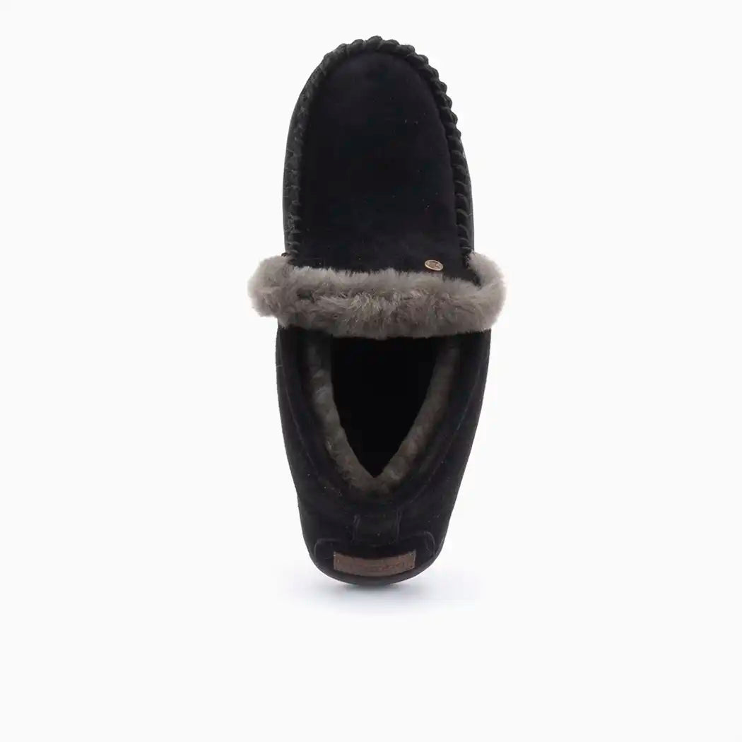 Darwino suède black 2